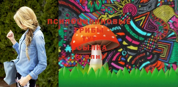 кокс Баксан