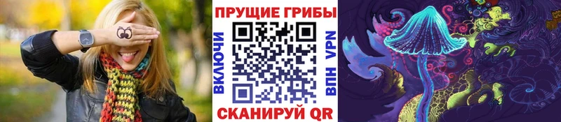 цена наркотик  blacksprut tor  Галлюциногенные грибы MAGIC MUSHROOMS  Зеленоградск 